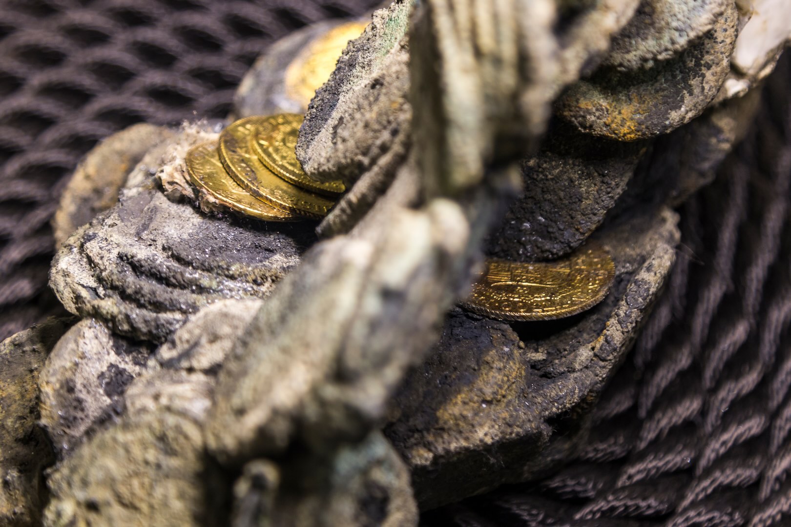 Monete antiche recuperate dal relitto del Polluce con concrezioni marine